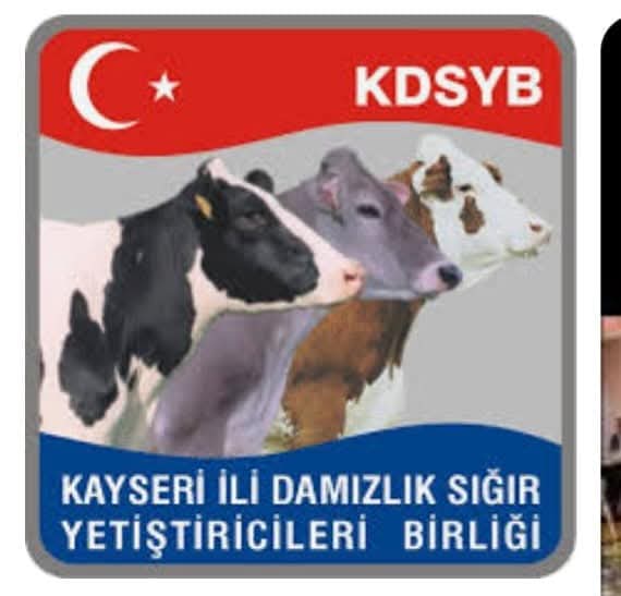 HAYVANLARlN SESSİZ DİLİ AYAKLARI