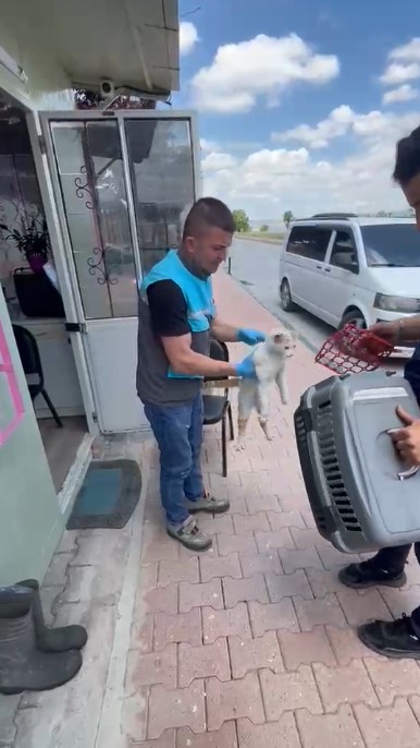 KAYSERİ BÜYÜKŞEHİR İTFAİYESİ’NDEN PATİLİ DOSTA ZAMANINDA MÜDAHALE