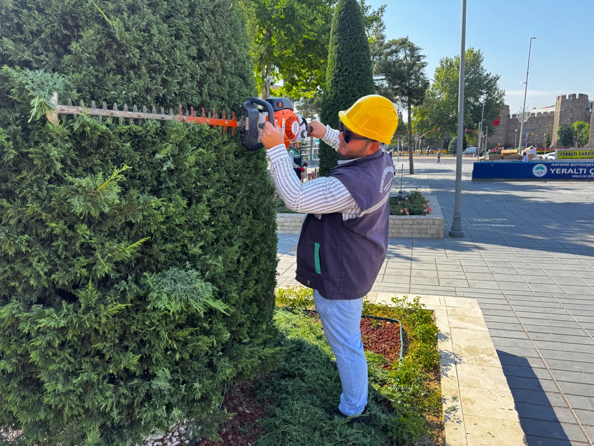 KENT ESTETİĞİNE TİTİZ DOKUNUŞ: SÜS BİTKİLERİNE FORM BUDAMASI